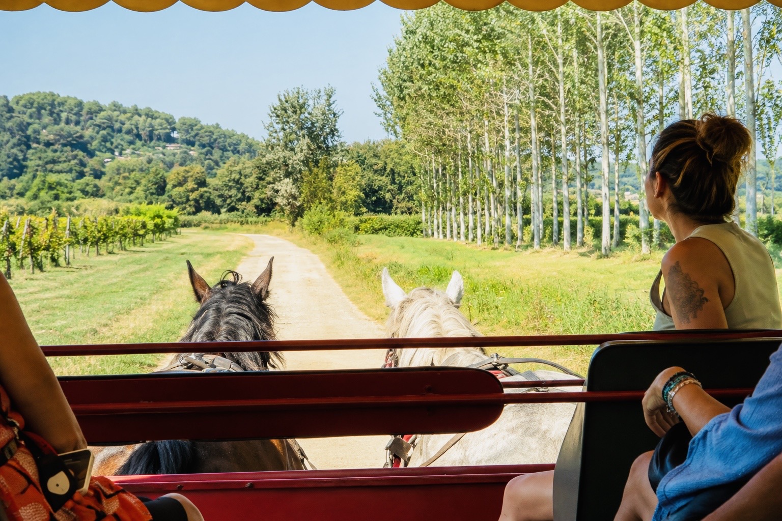 What We Loved About Tuscany